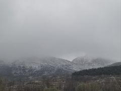 -少林寺欢喜地素斋馆