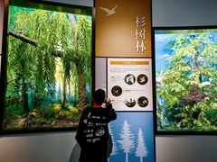 -同里国家湿地公园