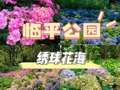 -临平公园(临平街道)