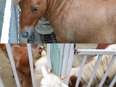 -蓝地时尚庄园(北京清河营地铁站店)