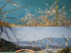 -广州市流溪河国家森林公园