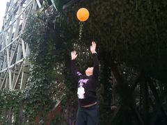 -郑州方特梦幻王国