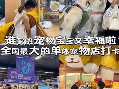 -帕帕拉兹宠物(亚洲旗舰店)