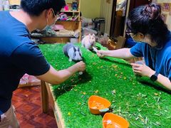 -宠物兔专门店(天丰利市场店)