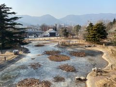 -国家植物园南园