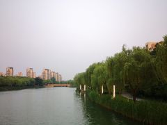 -苏州洲际酒店·大堂酒廊