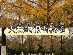 -迪卡侬(大关店)