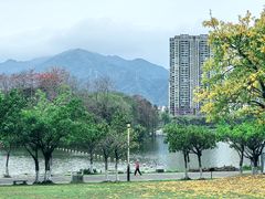 -飞来湖湿地公园