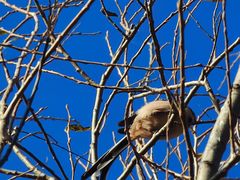 -野鸭湖国家湿地公园