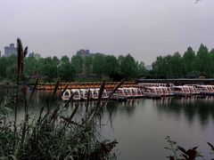 -洋湖国家湿地公园