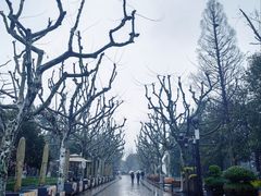 -杭州湖滨in77