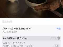 -河记肠粉店