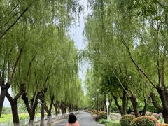 -三山岛