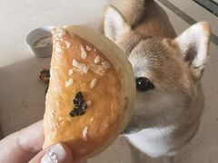 榴莲酥-泸溪河桃酥(欧尚店)