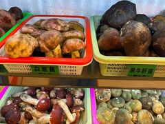 -菌海森林·非遗野生菌火锅(西山区滇池路摩根道店)
