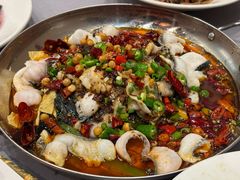 椒麻黑鱼片-金哥私房菜馆(张府园总店)