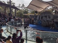 -泉州海丝野生动物世界