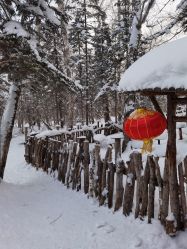 -大秃顶子山