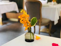 -蝶舍·MAISON PAPILLON