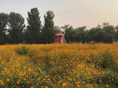 -北京东方普罗旺斯薰衣草庄园