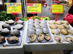 -蚝专家(北滘店)