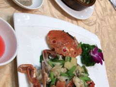 -联邦酒楼
