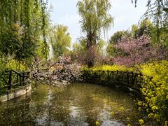 -南汇桃花村
