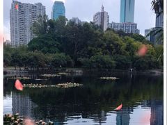 -荔枝公园(福田区)