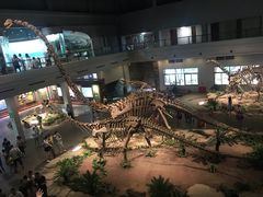 -自贡恐龙博物馆