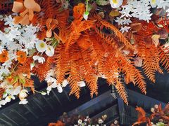 -常州花鸟园酒店(西太湖品牌优选店)