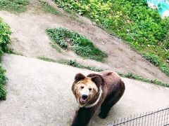 -成都动物园