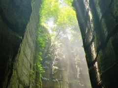 -梦幻奥陶纪景区