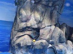 -青岛海底世界-水族馆