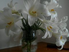 -乐唱氧吧量贩式KTV