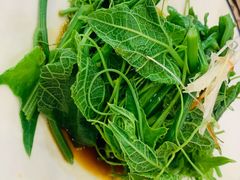 清炒南瓜尖儿-巴依老爷新疆美食(清华东门店)