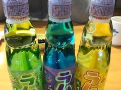 汽水-天正河鲀·河豚亭(大连店)