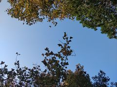 -广州市石门国家森林公园
