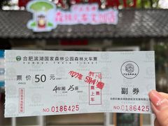 -合肥滨湖国家森林公园