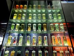 -广东中医药博物馆
