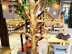 -豆逗聊愈猫阁Easy Life