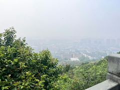 -杭州半山国家森林公园