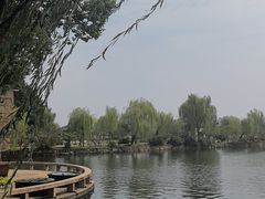 -无锡蠡湖国家湿地公园-蠡园