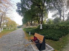 -九里河湿地公园