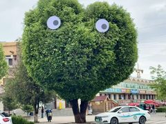 -特克斯八卦城