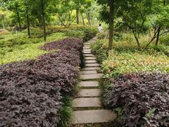 -成飞公园
