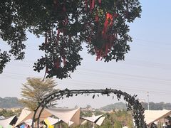 -长洲岛都市农业公园