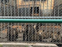 -哈尔滨北方森林动物园