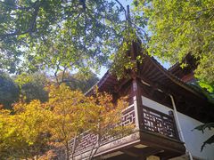 -韬光茶庵