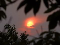 -火炉山森林公园