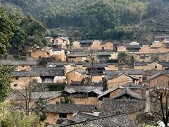 -杨家堂村